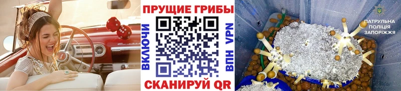 Псилоцибиновые грибы ЛСД  Кизилюрт 