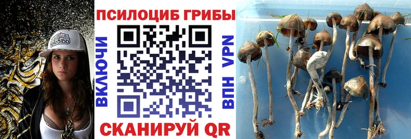 Галлюциногенные грибы MAGIC MUSHROOMS Кизилюрт